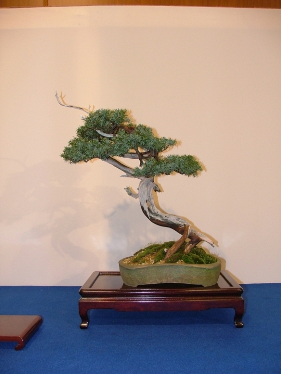 Noelanders Trophy VI 111.jpg