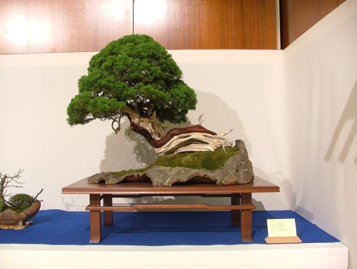 Noelanders Trophy VII (13).jpg