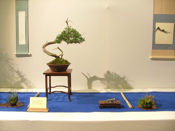 Noelanders Trophy VII (17).jpg