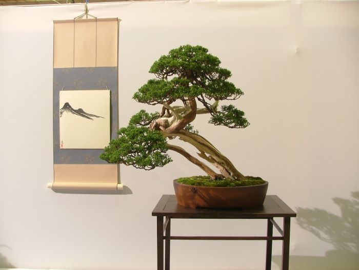 Noelanders Trophy VII (20).jpg