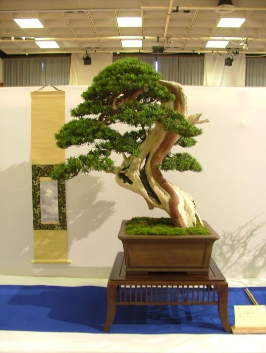 Noelanders Trophy VII (24).jpg