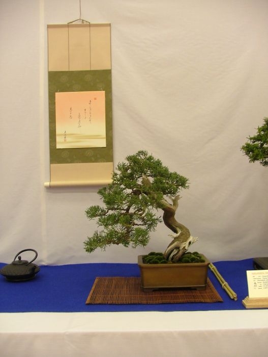 Noelanders Trophy VII (27).jpg