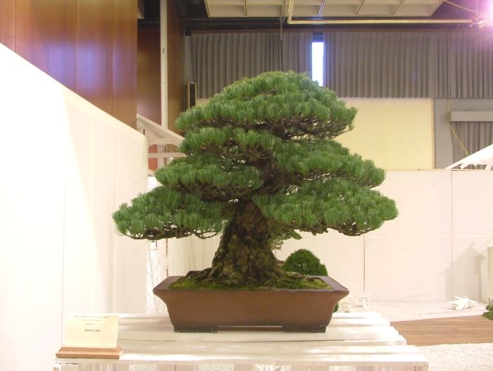 Noelanders Trophy VII (35).jpg