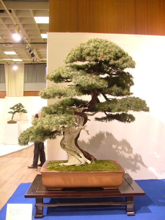 Noelanders Trophy VII (36).jpg