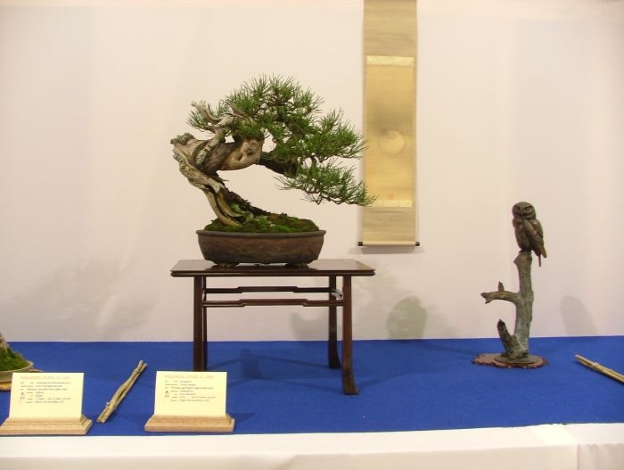 Noelanders Trophy VII (122).jpg