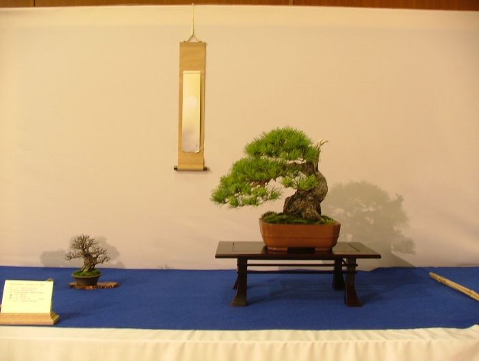 Noelanders Trophy VII (136).jpg