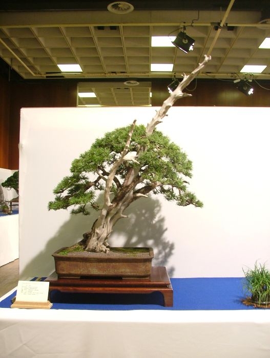 Noelanders Trophy VII (149).jpg