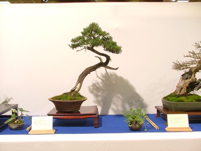 Noelanders Trophy VII (156).jpg