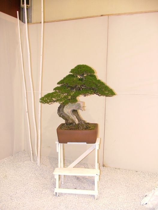 Noelanders Trophy VII dag 2 017.jpg