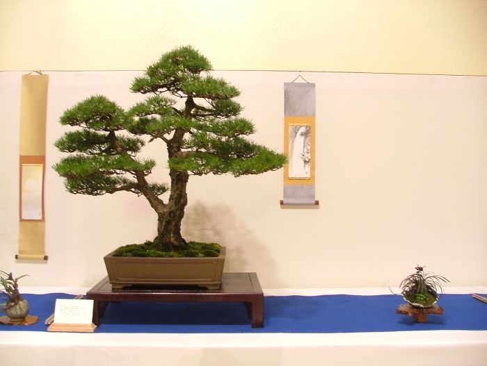 Noelanders Trophy VII dag 2 033.jpg