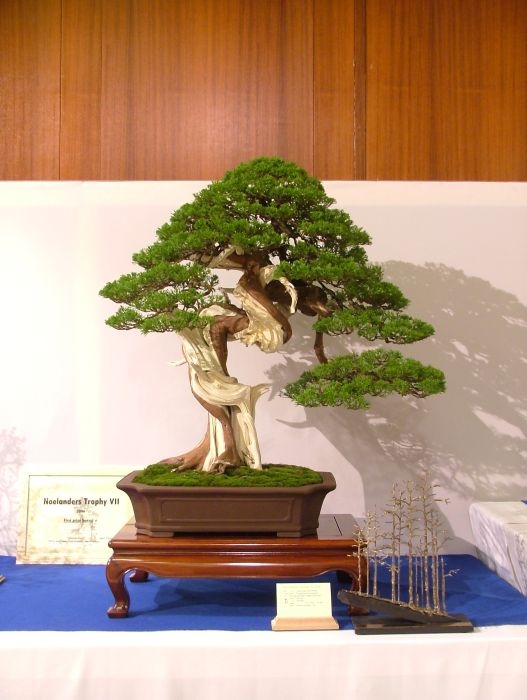 Noelanders Trophy VII dag 2 052.jpg