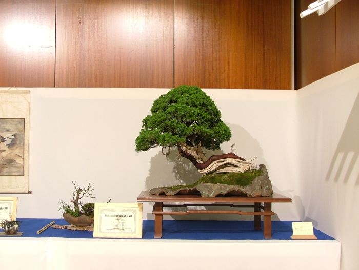 Noelanders Trophy VII dag 2 059.jpg