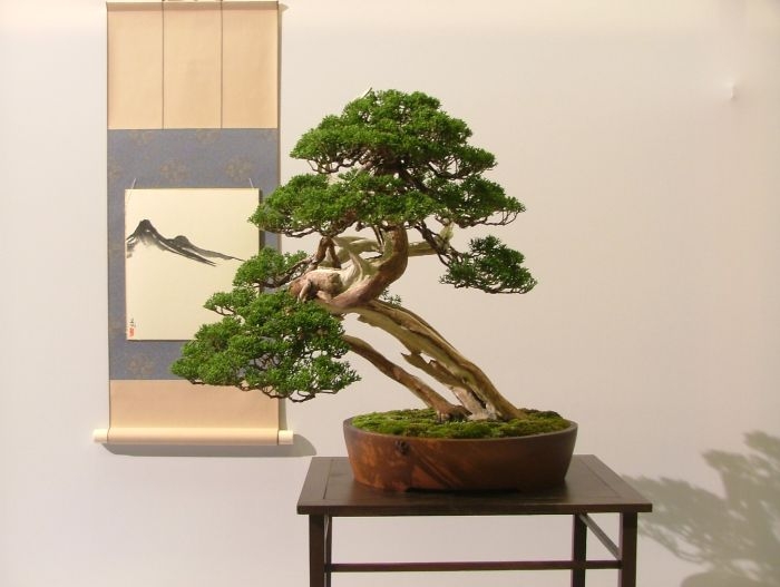 Noelanders Trophy VII dag 2 060.jpg