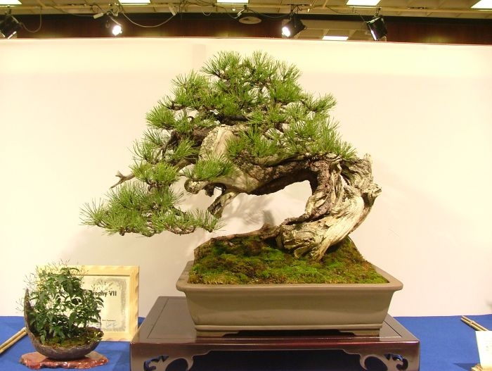 Noelanders Trophy VII dag 2 067.jpg