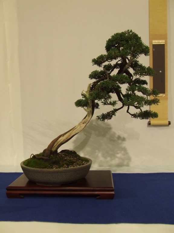 Noelanders trophy 2007 179.jpg