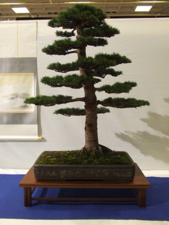 Noelanders trophy 2007 187.jpg