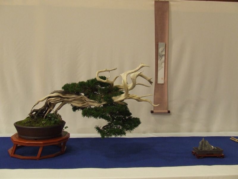 Noelanders trophy 2007 205.jpg