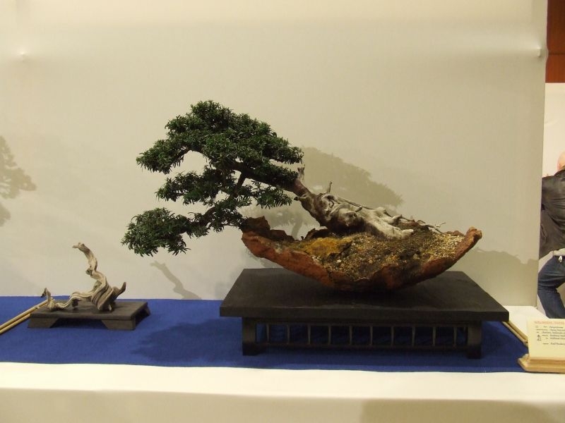 Noelanders trophy 2007 355.jpg