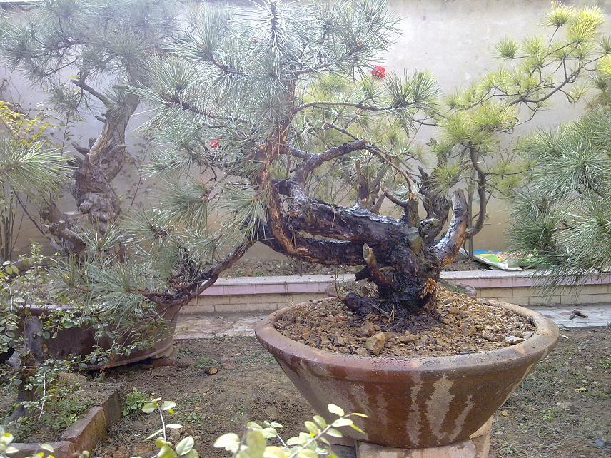 20111230076.jpg
