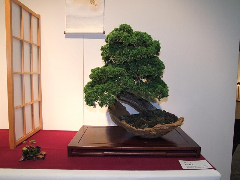 Shinpaku Ten 31-05-2009 039.jpg