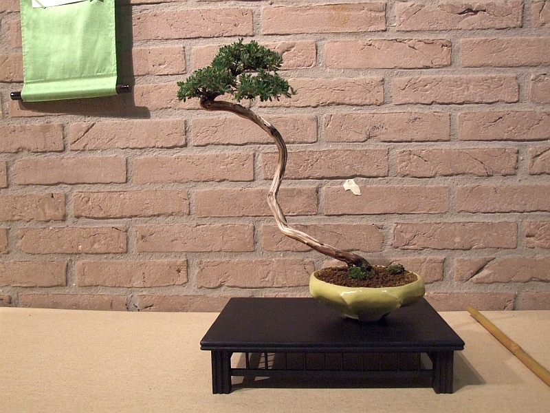Shinpaku Ten 31-05-2009 102.jpg