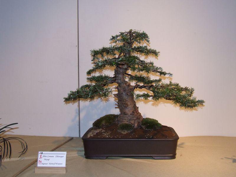 Tentoonstelling Shinpaku 12 en 13 mei 2007 (23).jpg