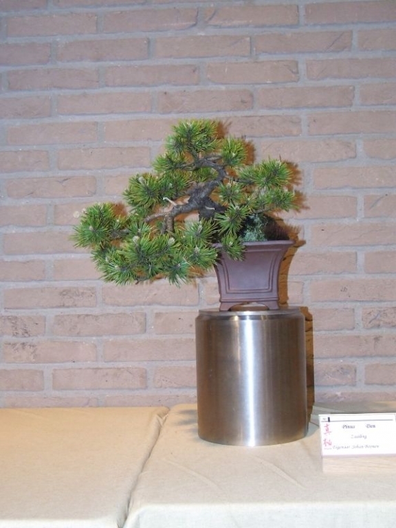Tentoonstelling Shinpaku 12 en 13 mei 2007 (76).jpg