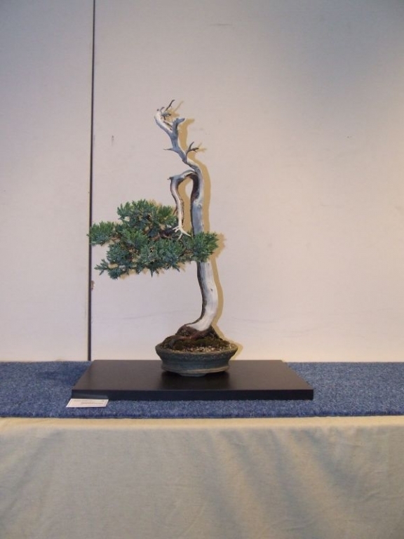 Tentoonstelling Shinpaku 12 en 13 mei 2007 (81).jpg