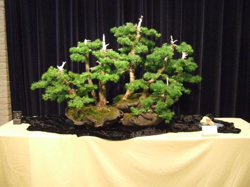 Tentoonstelling Shinpaku 12 en 13 mei 2007 (89).jpg