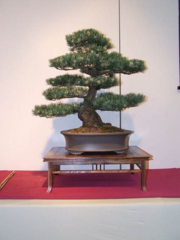 Tentoonstelling Shinpaku 12 en 13 mei 2007 (94).jpg