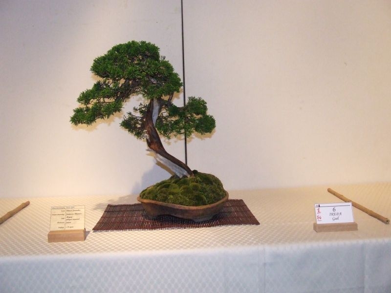 Tentoonstelling Shinpaku 12 en 13 mei 2007 (141).jpg