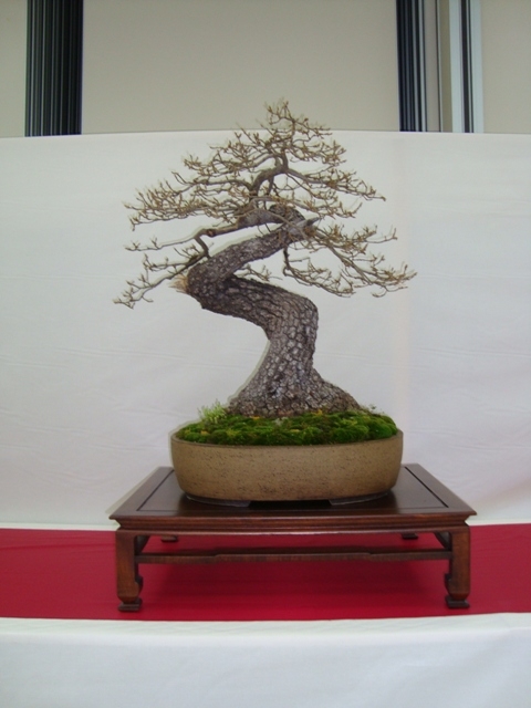 UBI2009 010.jpg
