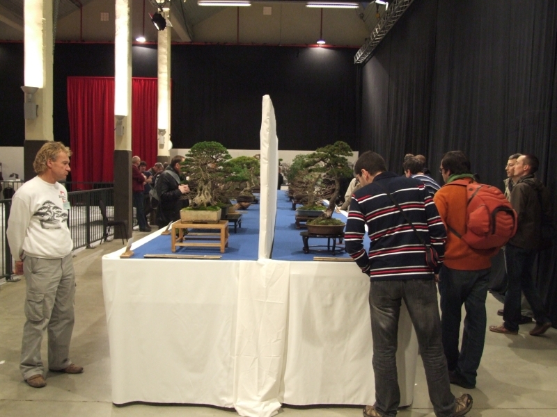 Noelanders Trophy XII 2011 4.jpg