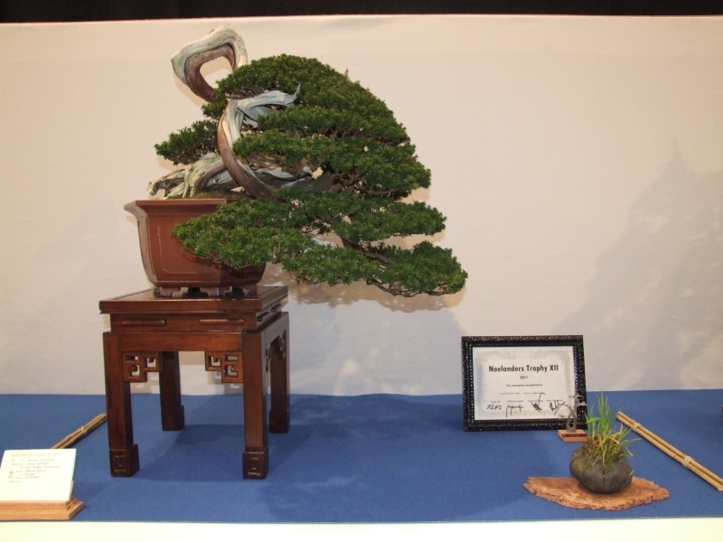 Noelanders Trophy XII 2011 5.jpgA.jpg