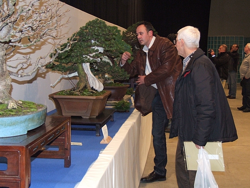 Noelanders Trophy XII 2011 6.jpg