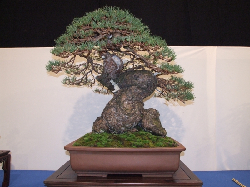 Noelanders Trophy XII 2011 10.jpg