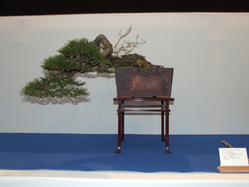 Noelanders Trophy XII 2011 11.jpg