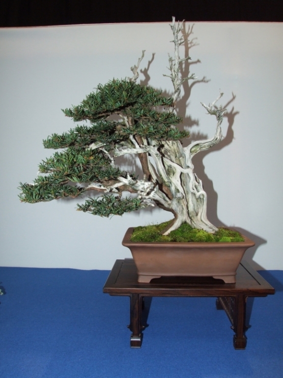 Noelanders Trophy XII 2011 20.jpgA.jpg