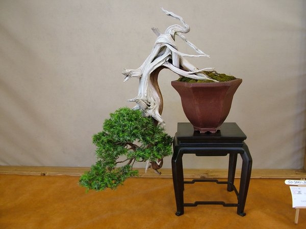 Arco 2011 002.jpg