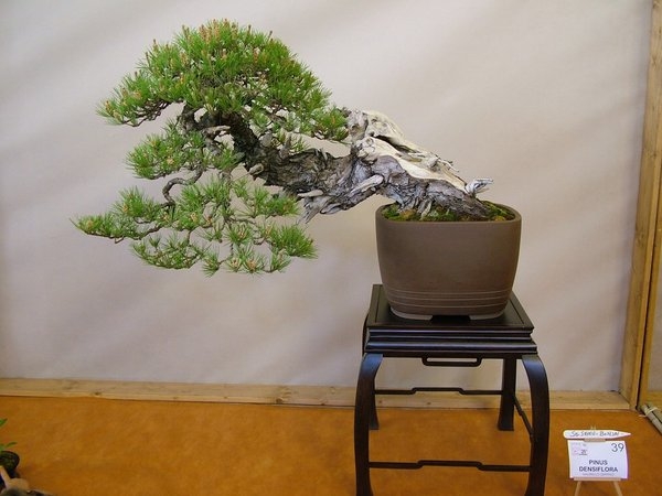 Arco 2011 003.jpg