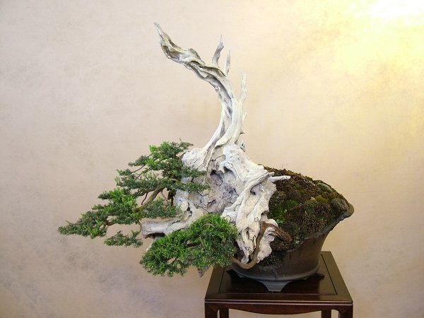 Arco 2011 004.jpg