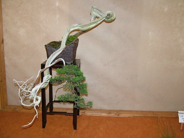 Arco 2011 007.jpg