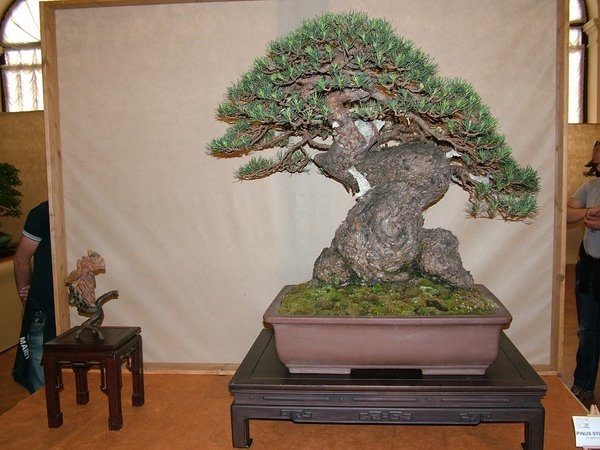 Arco 2011 008.jpg