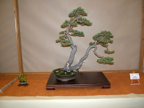 Arco 2011 010.jpg