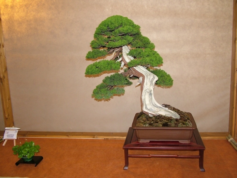 Arco 2011 024.jpg