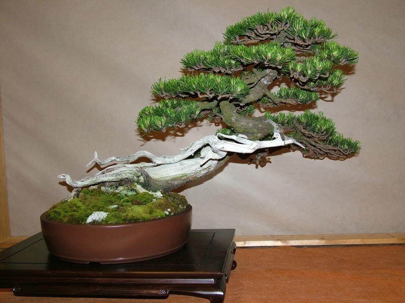 Arco 2011 025.jpg