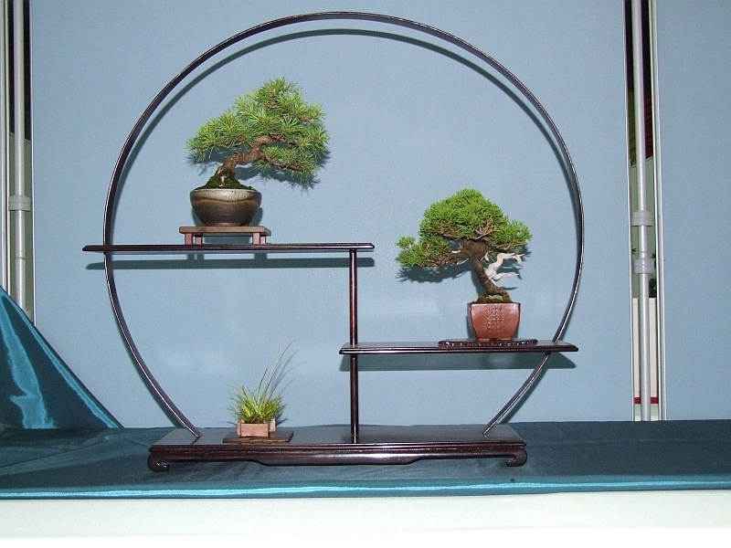 Bonsai & Japanese Art Event 2009  (12).jpg