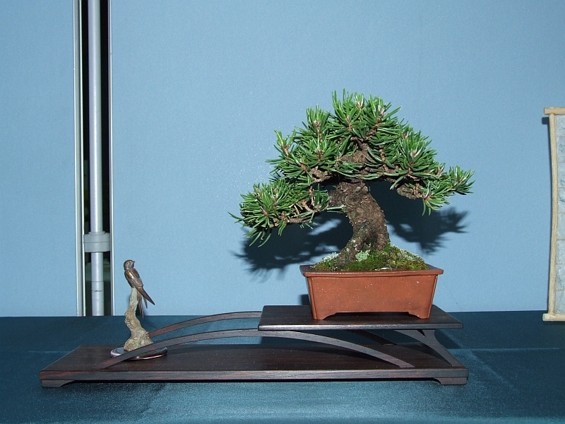 Bonsai & Japanese Art Event 2009  (15).jpg