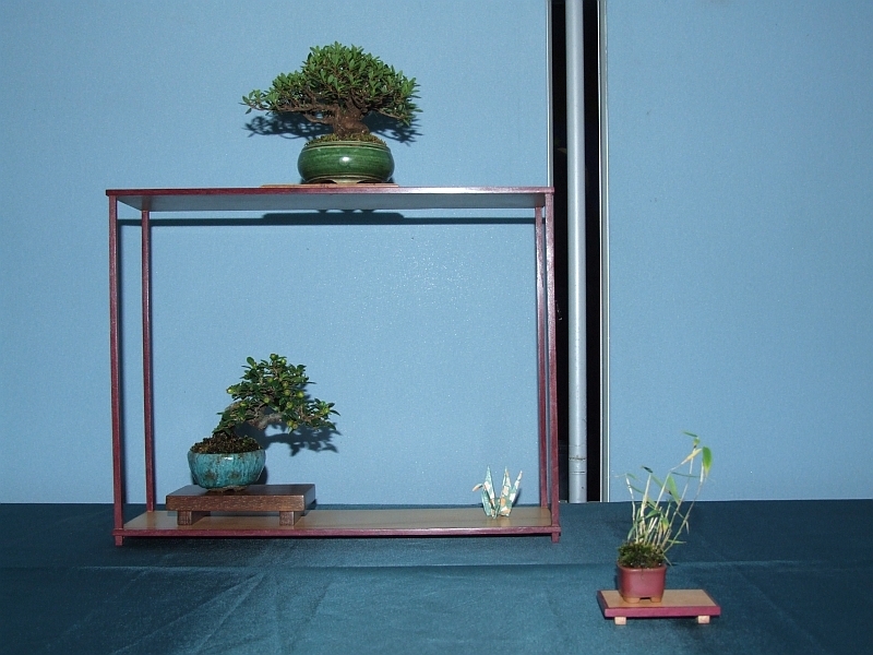 Bonsai & Japanese Art Event 2009  (17).jpg