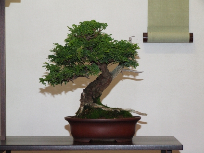 Go-Gatsu Ten 2008 047.jpg